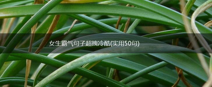 女生霸气句子超拽冷酷(实用50句),第1张