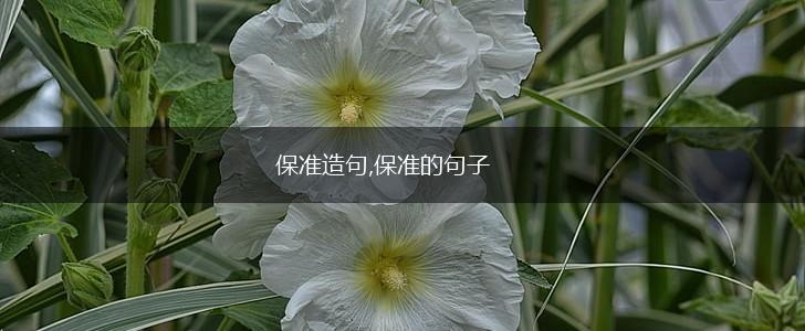 保准造句,保准的句子,第1张