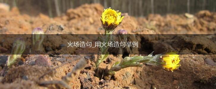 火场造句_用火场造句举例,第1张