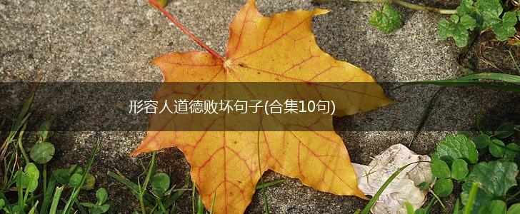 形容人道德败坏句子(合集10句),第1张