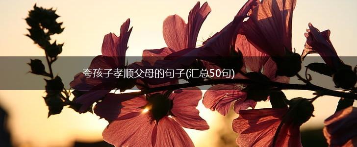 夸孩子孝顺父母的句子(汇总50句),第1张