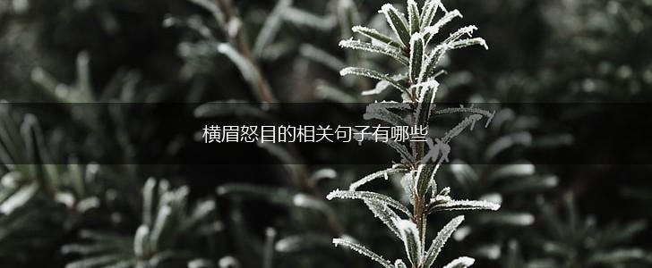 横眉怒目的相关句子有哪些,第1张