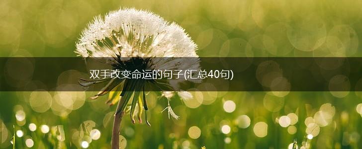 双手改变命运的句子(汇总40句),第1张