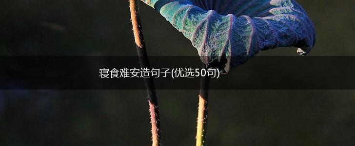 寝食难安造句子(优选50句),第1张