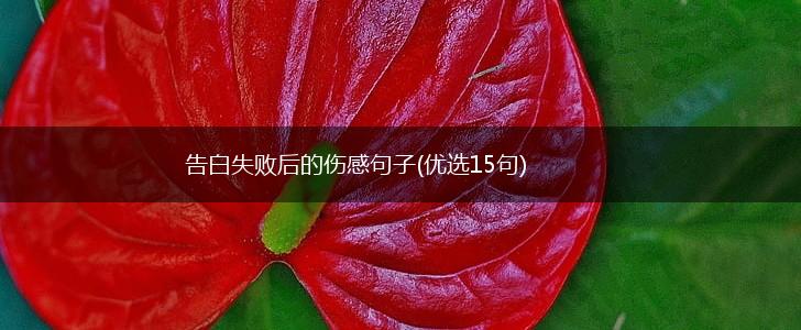 告白失败后的伤感句子(优选15句),第1张