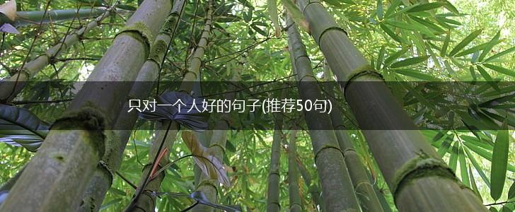 只对一个人好的句子(推荐50句),第1张