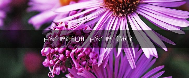 百家争鸣造句_用“百家争鸣”造句子,第1张