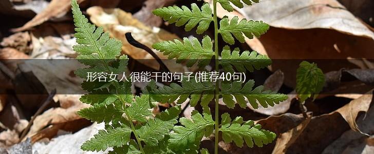 形容女人很能干的句子(推荐40句),第1张