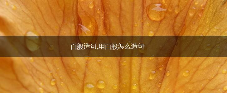 百般造句,用百般怎么造句,第1张
