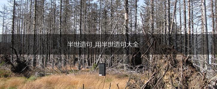 半世造句_用半世造句大全,第1张