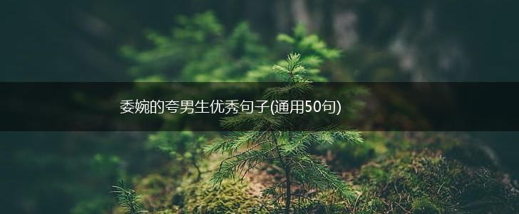 委婉的夸男生优秀句子(通用50句),第1张