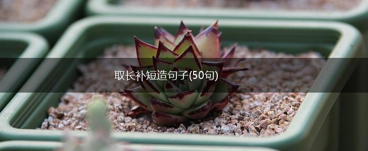取长补短造句子(50句),第1张