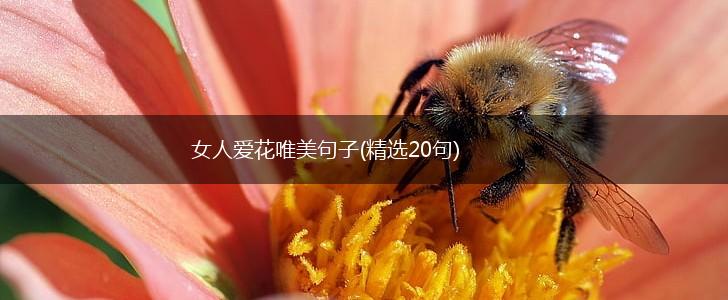 女人爱花唯美句子(精选20句),第1张