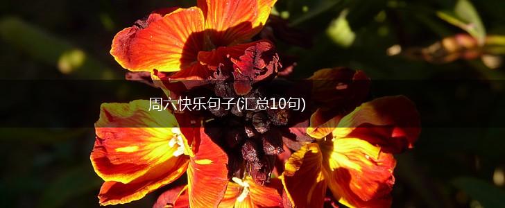周六快乐句子(汇总10句),第1张