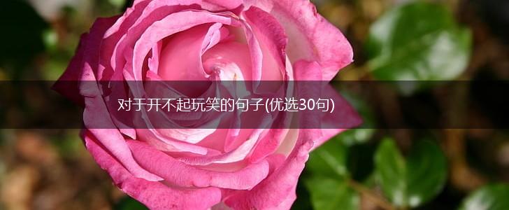 对于开不起玩笑的句子(优选30句),第1张