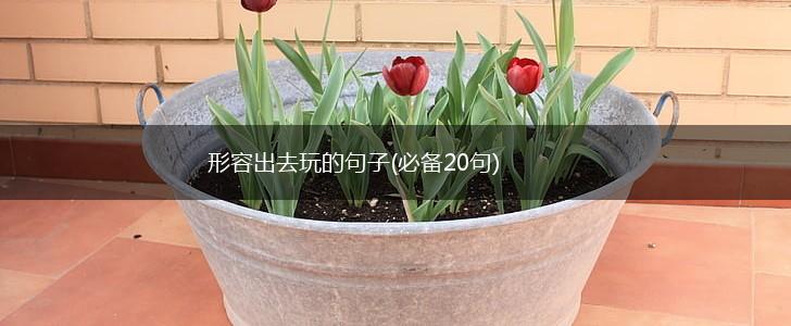 形容出去玩的句子(必备20句),第1张