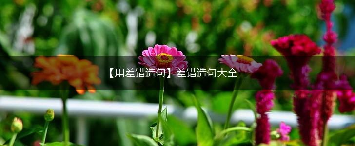 【用差错造句】差错造句大全,第1张
