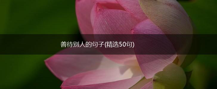 善待别人的句子(精选50句),第1张