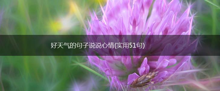 好天气的句子说说心情(实用51句),第1张