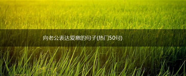 向老公表达爱意的句子(热门50句),第1张