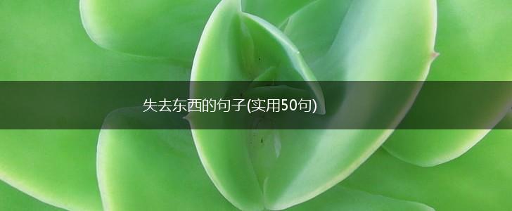 失去东西的句子(实用50句),第1张