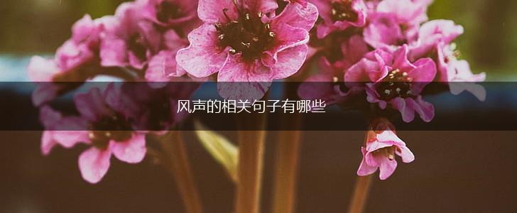 风声的相关句子有哪些,第1张