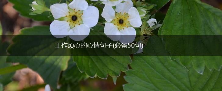 工作烦心的心情句子(必备50句),第1张