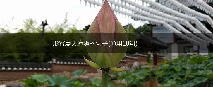 形容夏天凉爽的句子(通用10句),第1张