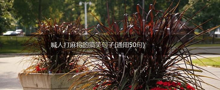 喊人打麻将的搞笑句子(通用50句),第1张