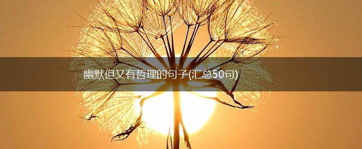 幽默但又有哲理的句子(汇总50句),第1张