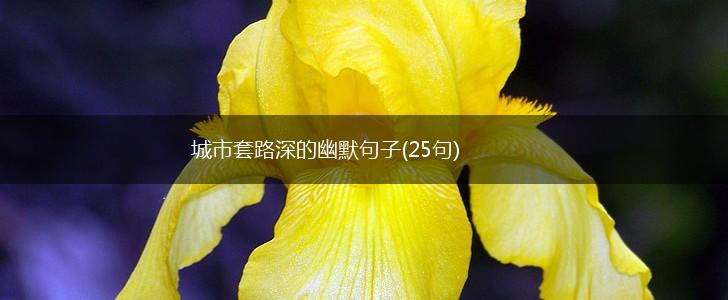 城市套路深的幽默句子(25句),第1张