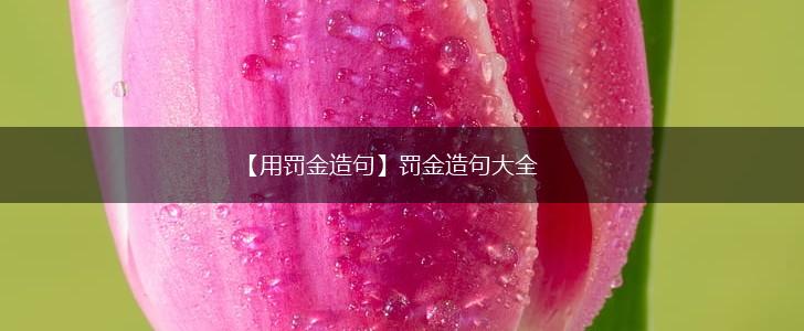 【用罚金造句】罚金造句大全,第1张