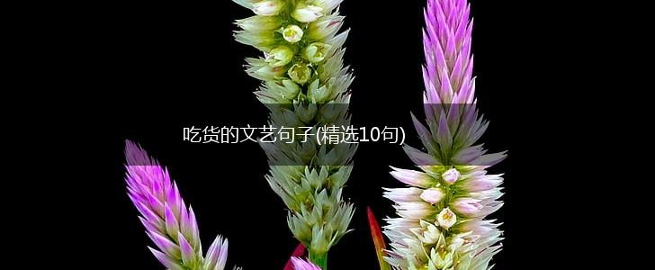 吃货的文艺句子(精选10句),第1张
