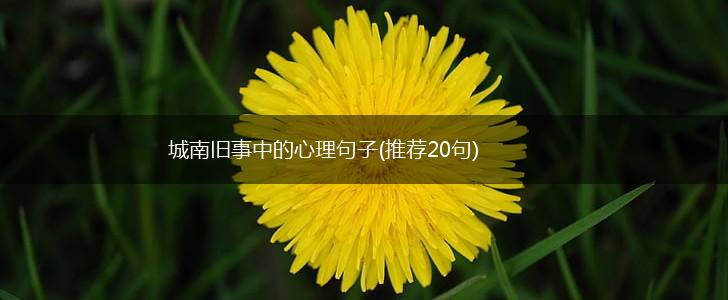 城南旧事中的心理句子(推荐20句),第1张