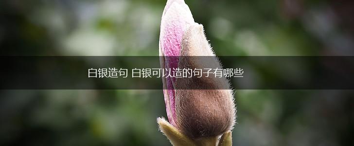 白银造句 白银可以造的句子有哪些,第1张