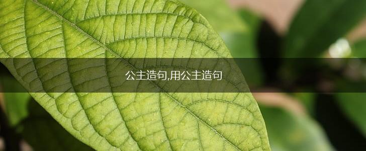 公主造句,用公主造句,第1张