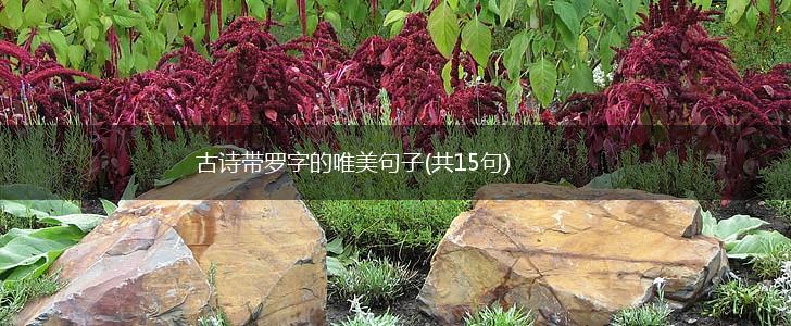 古诗带罗字的唯美句子(共15句),第1张