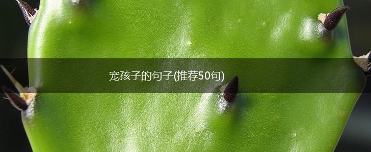 宠孩子的句子(推荐50句),第1张