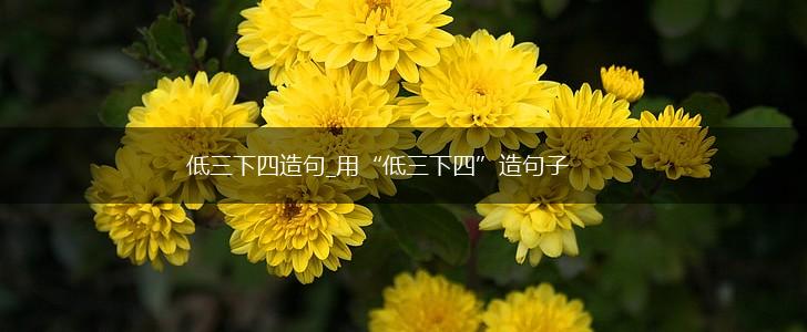 低三下四造句_用“低三下四”造句子,第1张