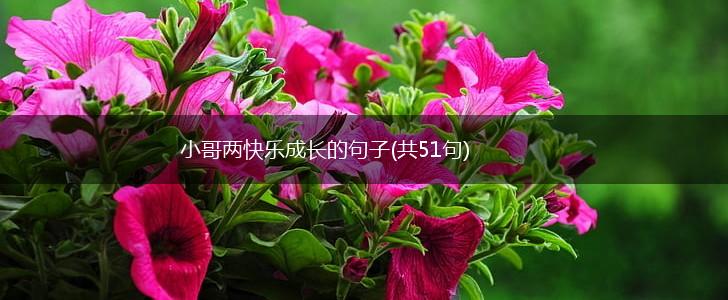 小哥两快乐成长的句子(共51句),第1张