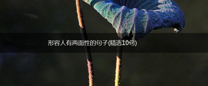 形容人有两面性的句子(精选10句),第1张