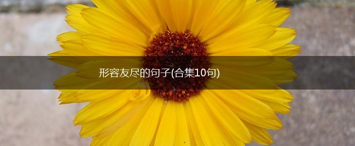 形容友尽的句子(合集10句),第1张