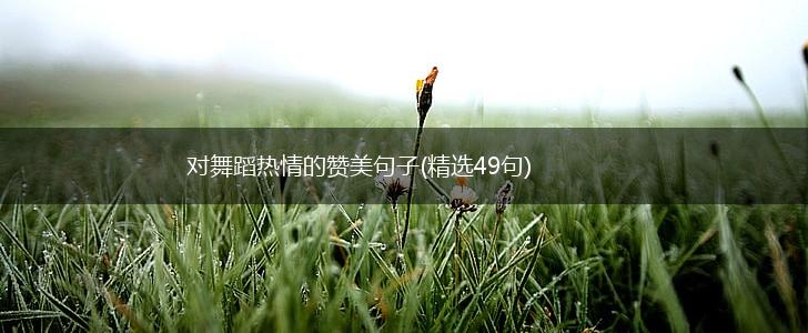 对舞蹈热情的赞美句子(精选49句),第1张