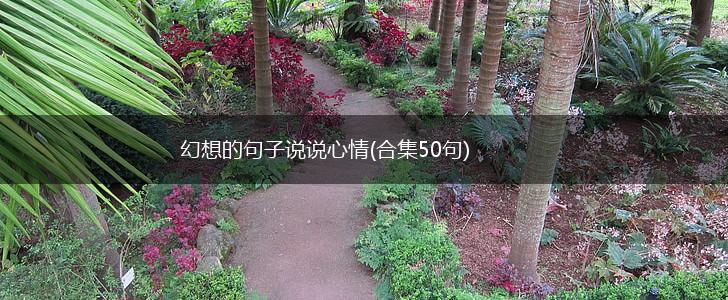 幻想的句子说说心情(合集50句),第1张