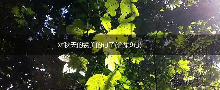 对秋天的赞美的句子(合集9句),第1张