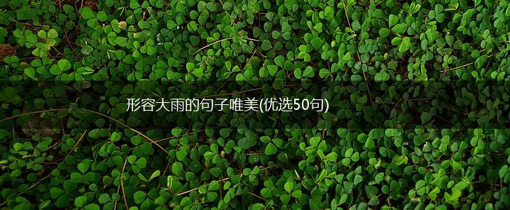 形容大雨的句子唯美(优选50句),第1张