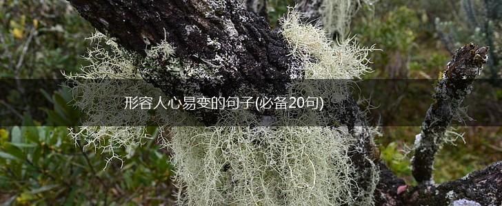 形容人心易变的句子(必备20句),第1张