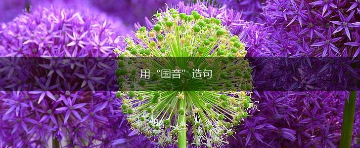 用“国音”造句,第1张