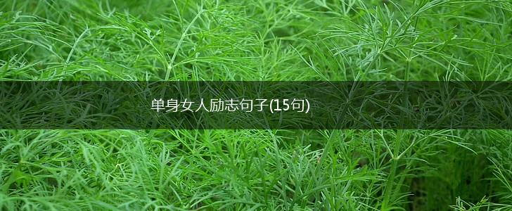 单身女人励志句子(15句),第1张