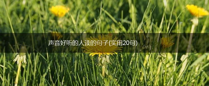 声音好听的人读的句子(实用20句),第1张